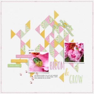 Bloom&Grow
