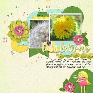 Dandelions