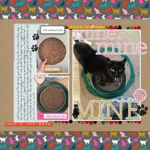 MineMineMine052019RC