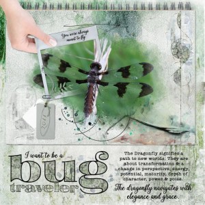 Bug Traveler