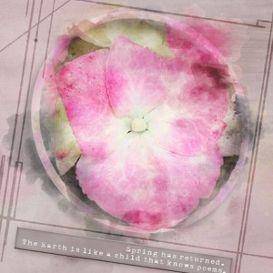 05-13-19_StackedFrames_HydrangeaWatercolor