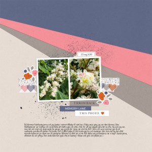 Scraplift Lilypad