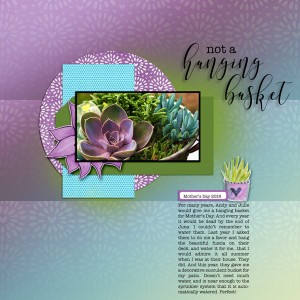 05-19_NotAHangingBasket