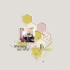 19-05_Soco_sewing-memories_hexagonsNo6-copy
