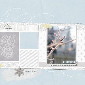 DecemberDetails