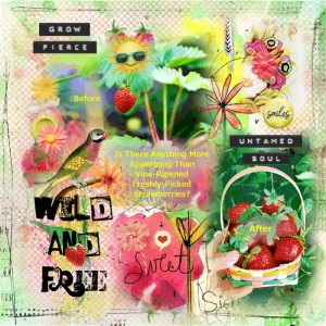 Random Challenge-May-Before & After-Strawberry Fields Forever