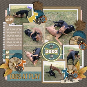 Dogs at Play