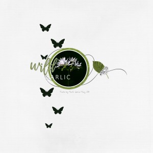 Scraplift Challenge - June 19
