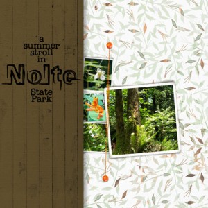 06-19_NolteParkWalk
