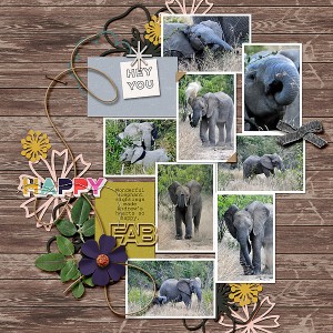ELEPHANTS