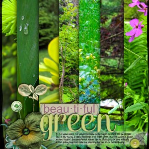 2019-06_June-TLP_Inspiration_web