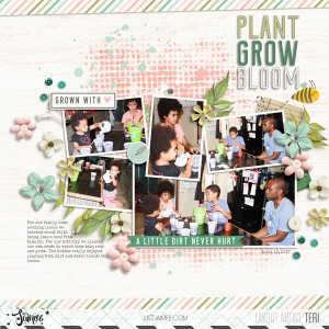CT2019 06 2017 04 FHE Planting