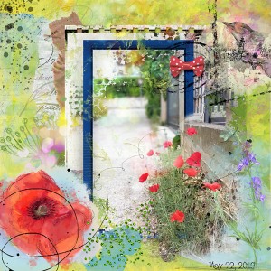 Poppies