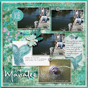 The Manatee