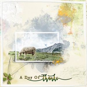 A Day of Thanks