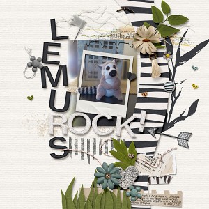 Lemurs rock!
