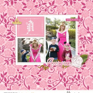 Princess Aurora 2006