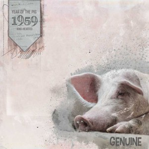 Pig-web