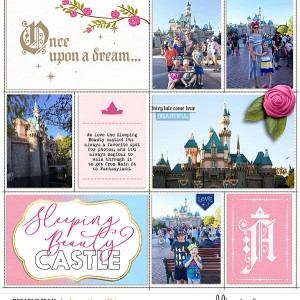 sleeping beauty castle