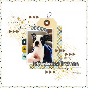 Introducing Truman