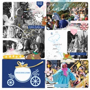 DLP Parade artsy pocket page
