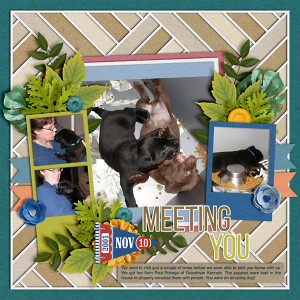 Meeting You