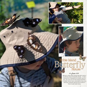 June scraplift - Butterfly House