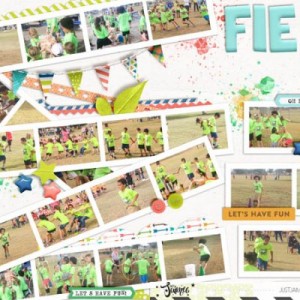 CT201906 2017 05 Field Day
