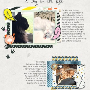 Pets