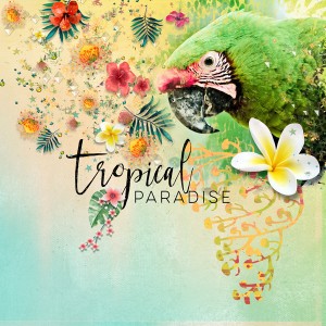 Tropical-fusion-1