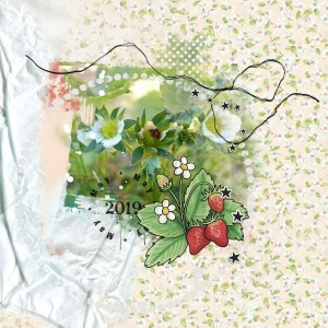 Strawberries in Flower