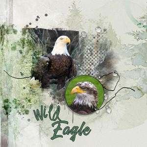 2019_06_JuneTemplateChallenge_eagle