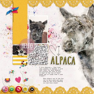 Alpaca