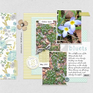 Bluets