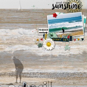 Pink-Reptile-Designs_2019-07_July_SOSN_0703_O-Sole-Mio_Beach_web