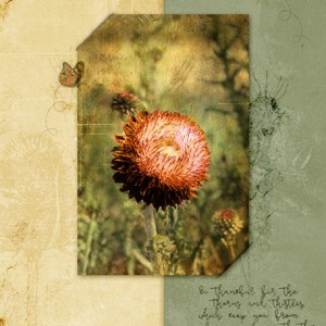 07-19_Distressed-Floral
