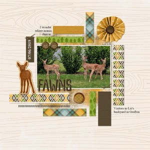 Fawns
