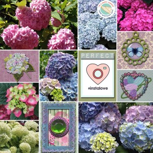Hydrangeas