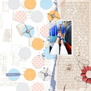 Robin_SWL-Blog-July-600