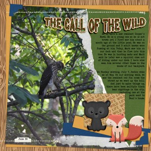 Call of the Wild