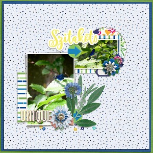 Dragonfly | Template Challenge