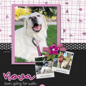 06-19_Nova-WalkInPark