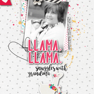 Grandma LLama