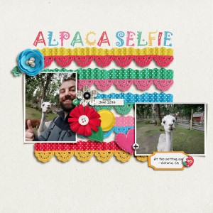 Alpaca Selfie