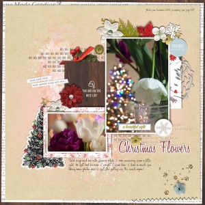 ChristmasFlowers2009-072019TC