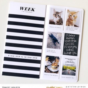 Paislee-thisweek-weekbytraceyholdyk1