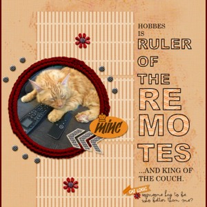 07-19_Hobbes_RulerOfRemotes
