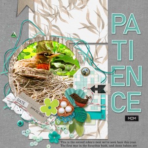 Pink-Reptile-Designs_2019-07_July_Blog-Challenge_web