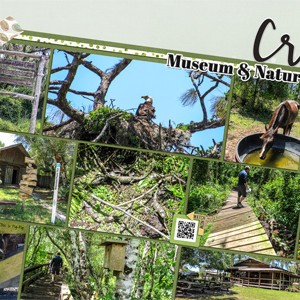 Crowley Museum and Nature Center