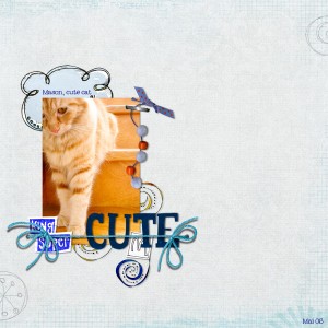 Cute Cat